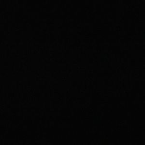 Meet your Posher, Sophia